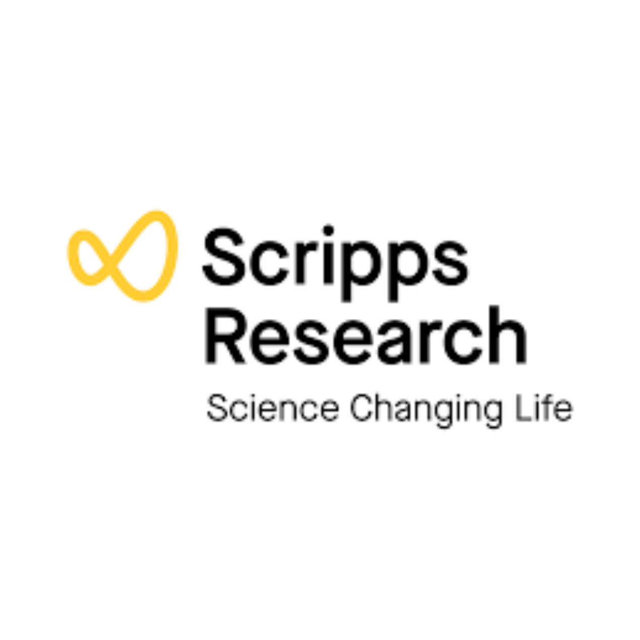 A New Hope for Alzheimer’s: diAcCA and the Nrf2 Pathway